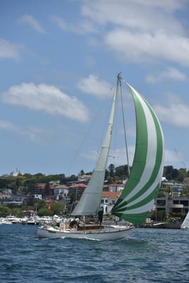 DSC_5186.JPG