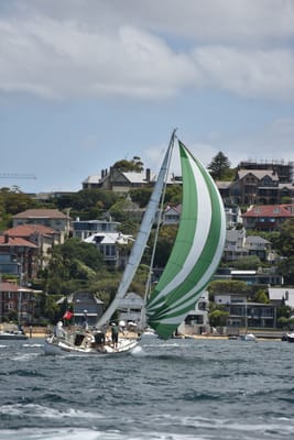 DSC_5187.JPG
