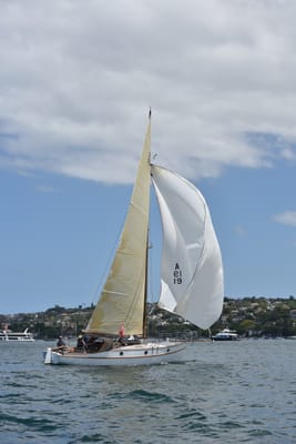 DSC_5226.JPG