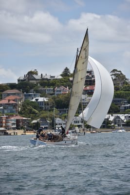 DSC_5228.JPG