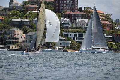 DSC_5230.JPG