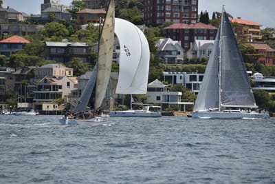 DSC_5231.JPG