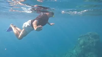 VID-20230521-WA0047.mp4
