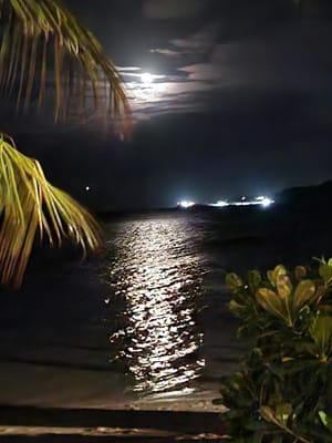 20230524_204337.jpg