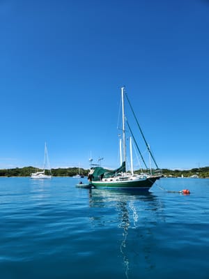 20230527_125619.jpg