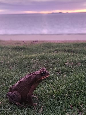 20230528_175757.jpg