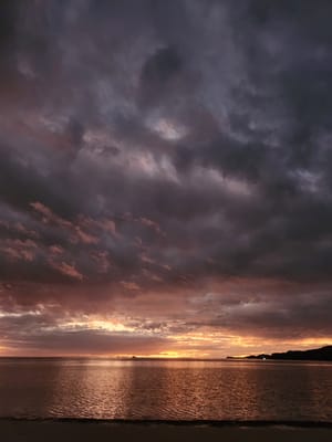 20230528_181204.jpg