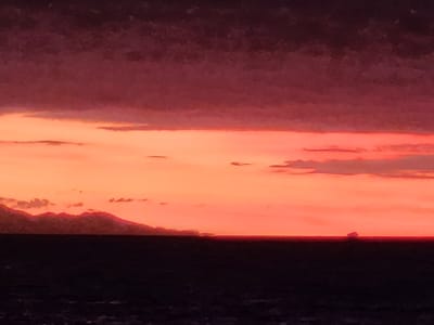 20230517_180657.jpg