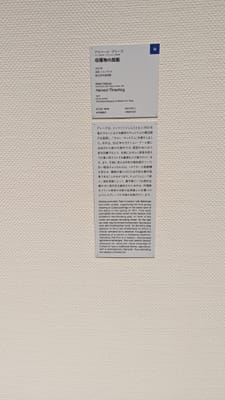 PXL_20231019_020323622.jpg