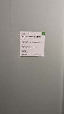 PXL_20231019_020850800.jpg