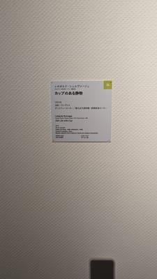 PXL_20231019_021144338.jpg