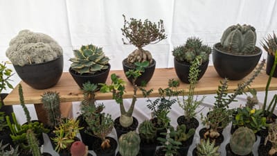 PXL_20231025_020750010.jpg