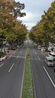 PXL_20231025_053821623.jpg