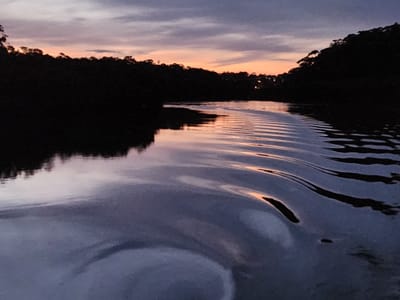 20230827_180217.jpg