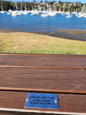 20231102_172141.jpg