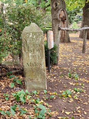 20230415_152145.jpg
