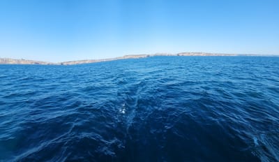 20230317_104447.jpg