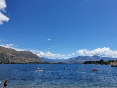 20230117_130613.jpg