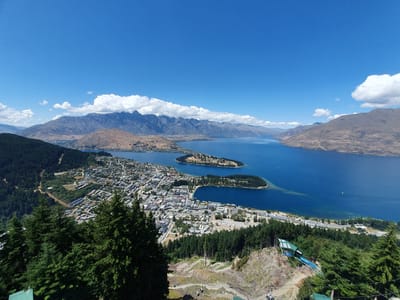20230118_131336.jpg