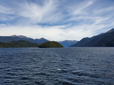 20230119_141601.jpg