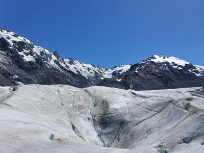 20230121_121058.jpg