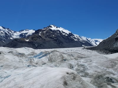 20230121_132253.jpg