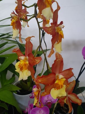 20230415_145750.jpg