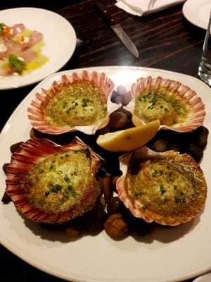 20230416_174340.jpg