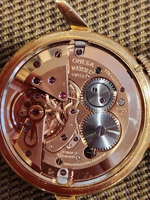 20230711_131857.jpg