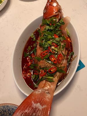 IMG-20240823-WA0001.jpg