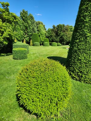 20240602_154641.jpg