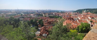 20240609_095345.jpg