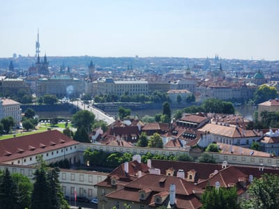 20240609_095529.jpg