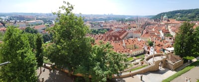 20240609_105533.jpg