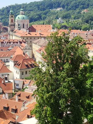 20240609_105709.jpg