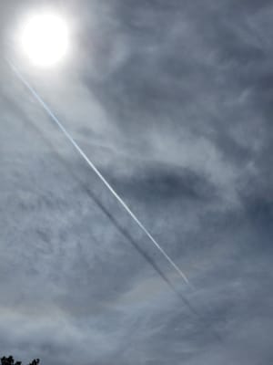 20240525_094150.jpg