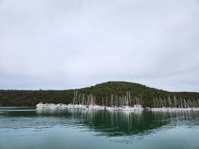 20240525_114946.jpg