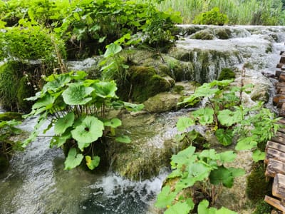 20240526_102726.jpg