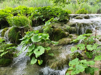20240526_102731.jpg