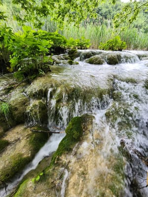 20240526_102744.jpg