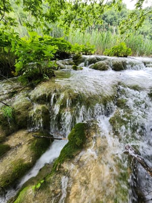 20240526_102746.jpg