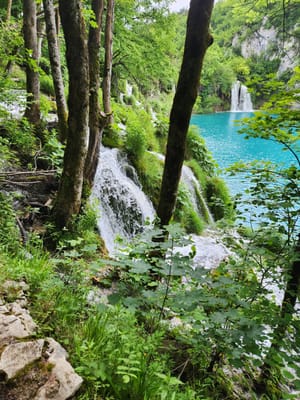 20240526_105515.jpg