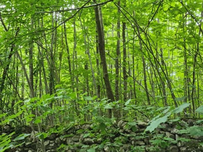 20240526_141251.jpg