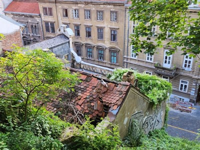20240527_193324.jpg