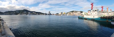 20241021_155954.jpg