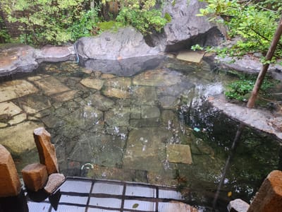20241023_071555.jpg