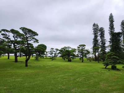 20241024_163734.jpg