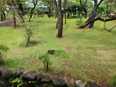 20241025_090645.jpg