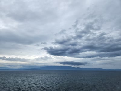 20241025_093640.jpg