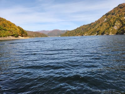 20241027_112454.jpg